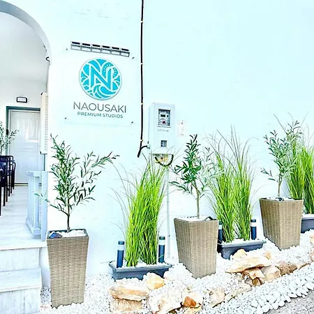 Daire Naousaki Premium 3